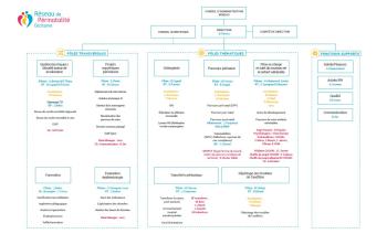 Organigramme RPO